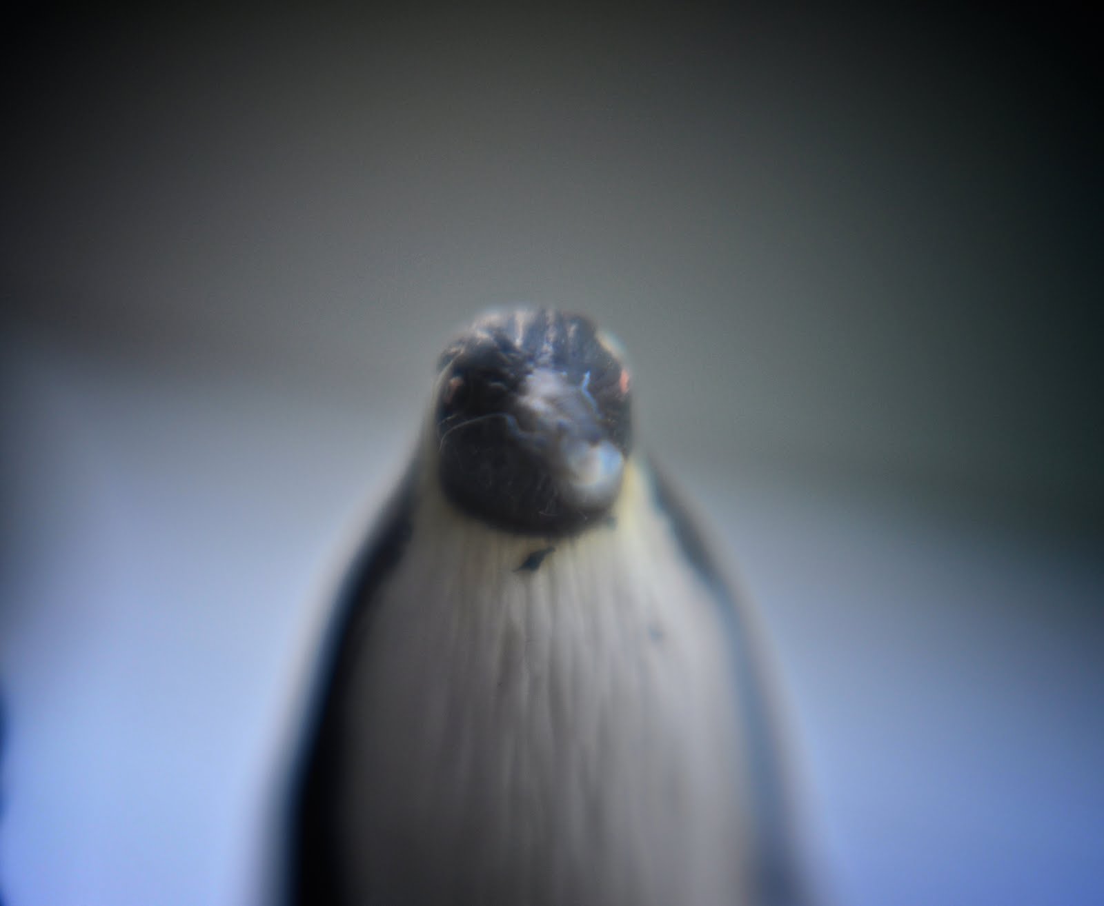 [2010-02-10+at+21-24-47.jpg]