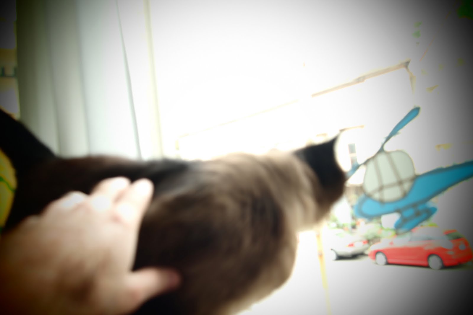 [2010-02-19+at+15-37-34.jpg]