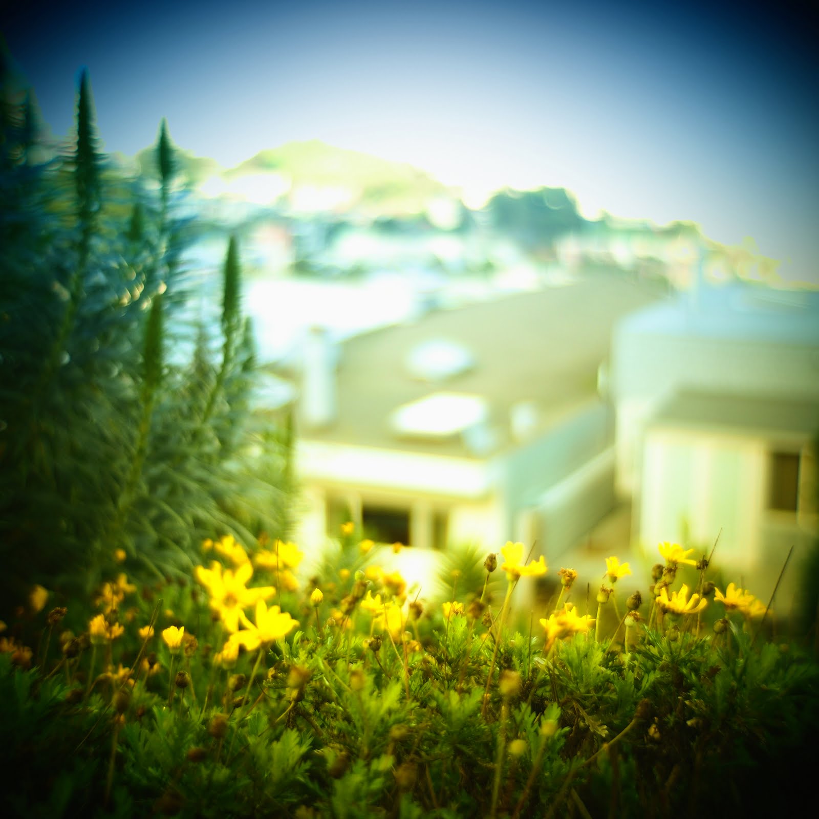 [2010-02-24+at+17-43-10.jpg]