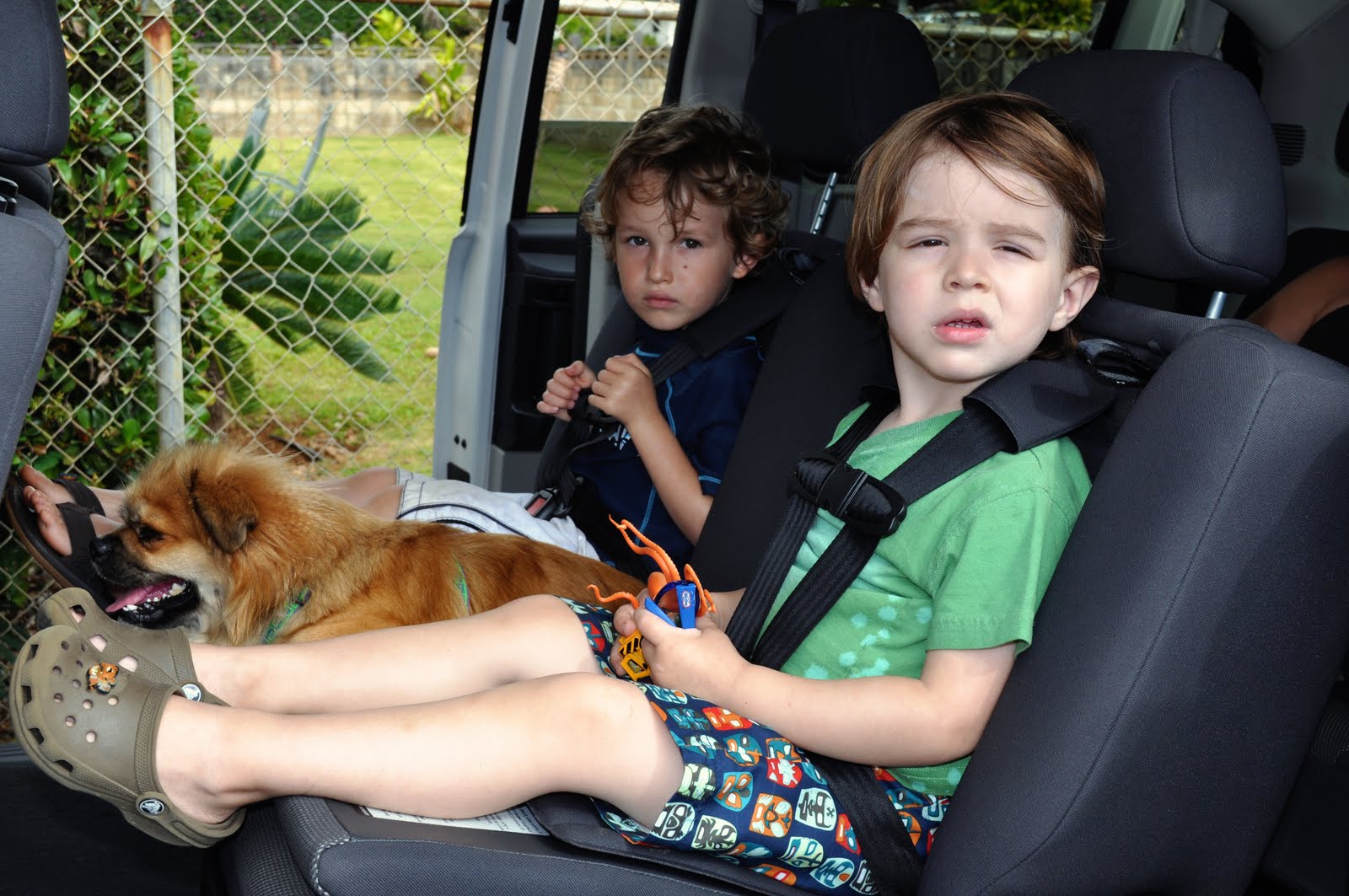 [2010-02-25+at+17-24-16.jpg]