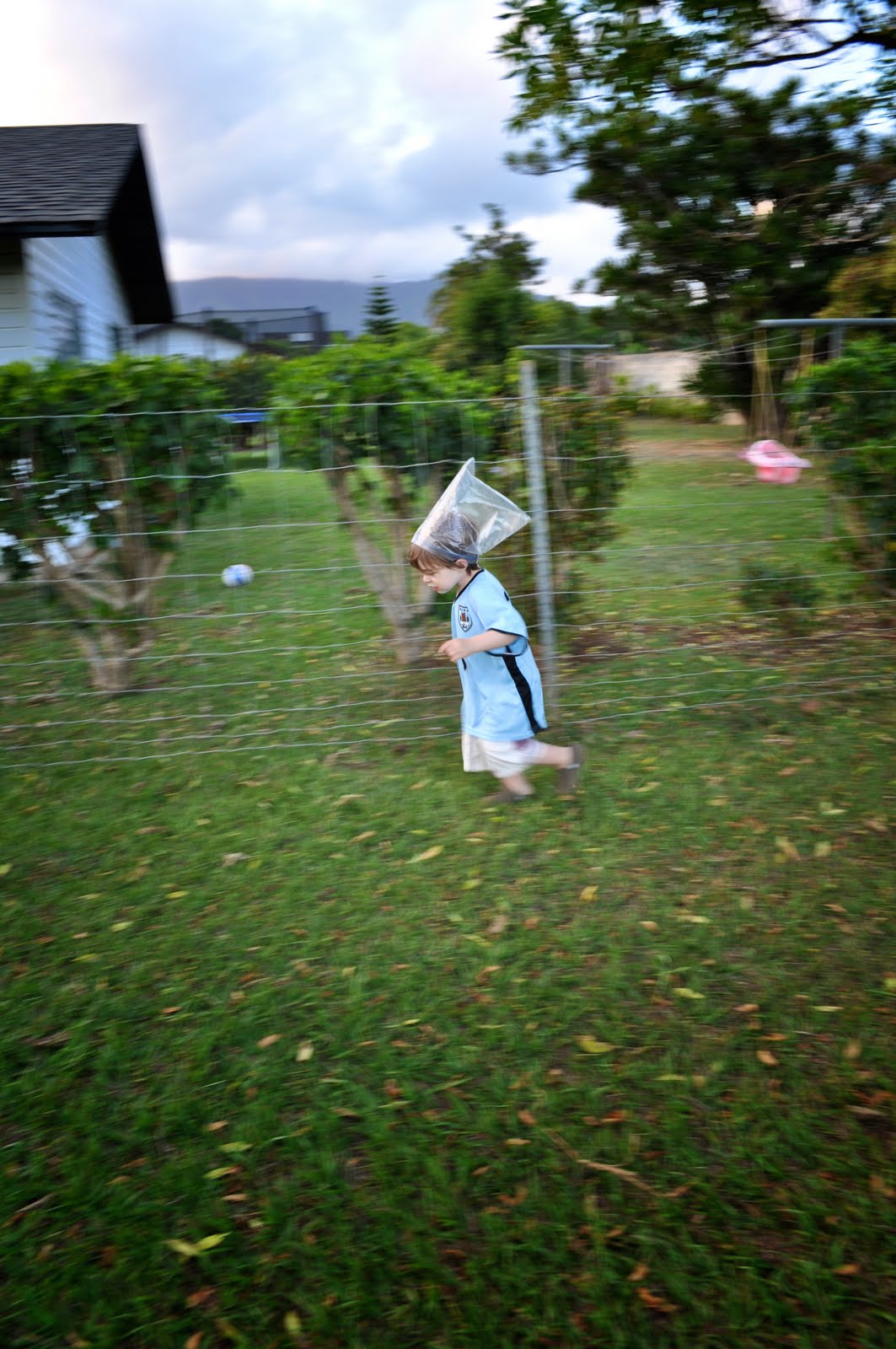 [2010-02-26+at+01-17-53.jpg]