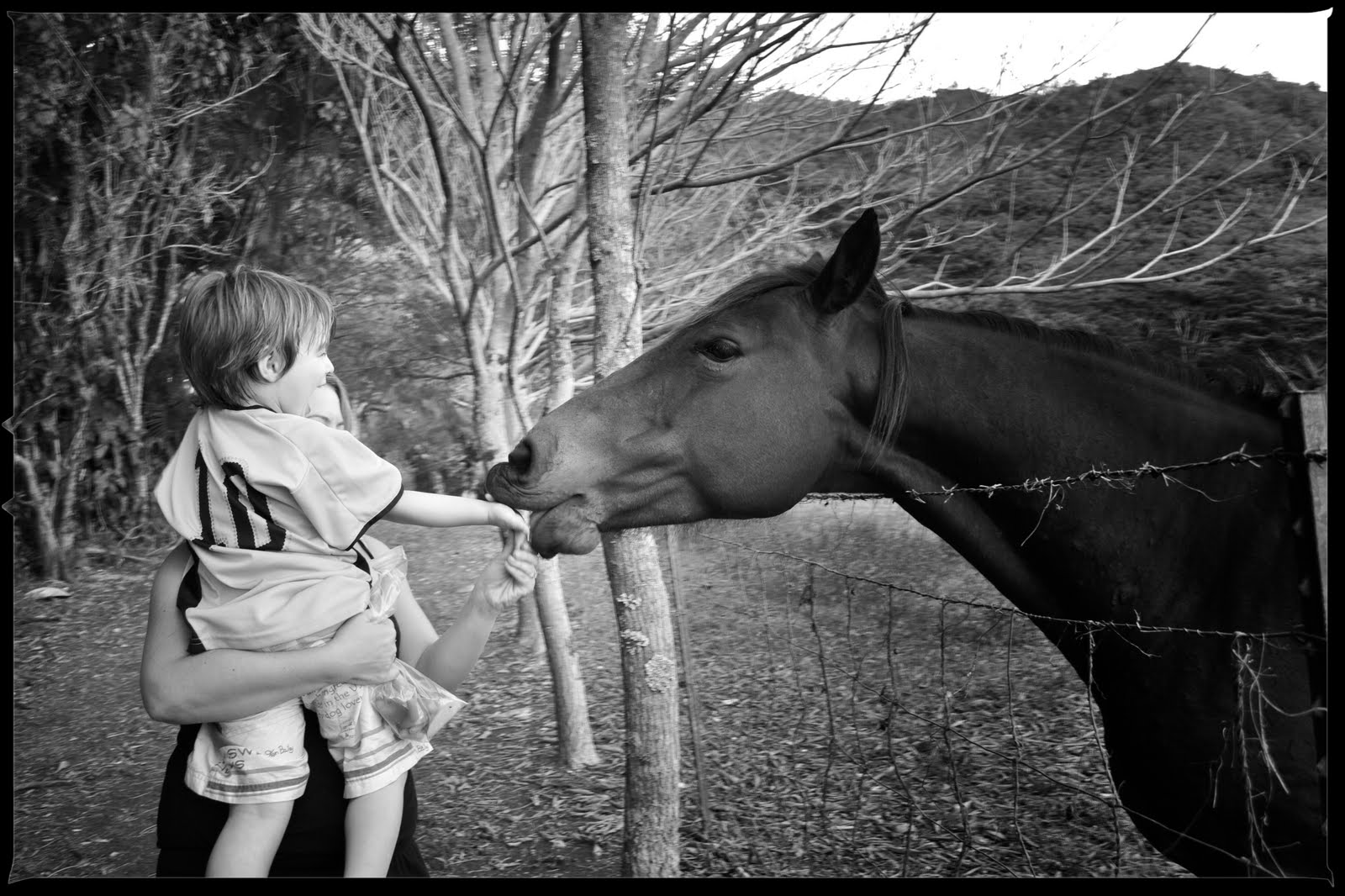 [2010-02-26+at+01-04-01.jpg]