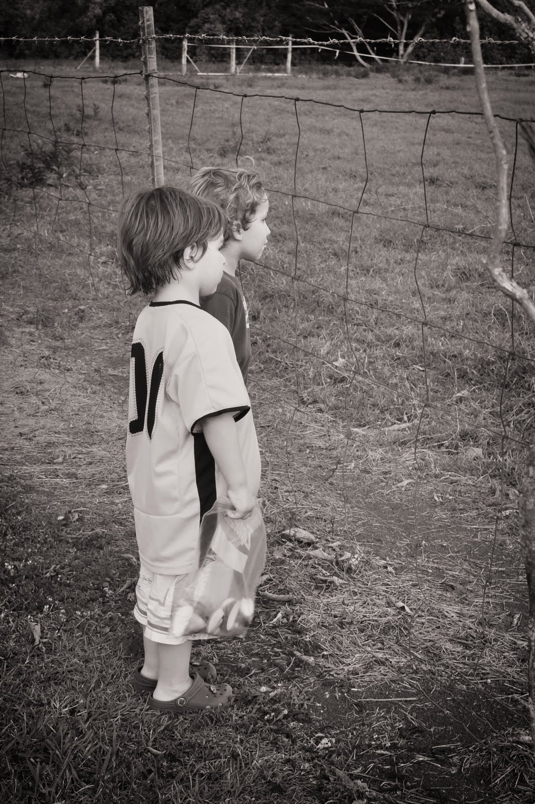 [2010-02-26+at+00-56-04.jpg]