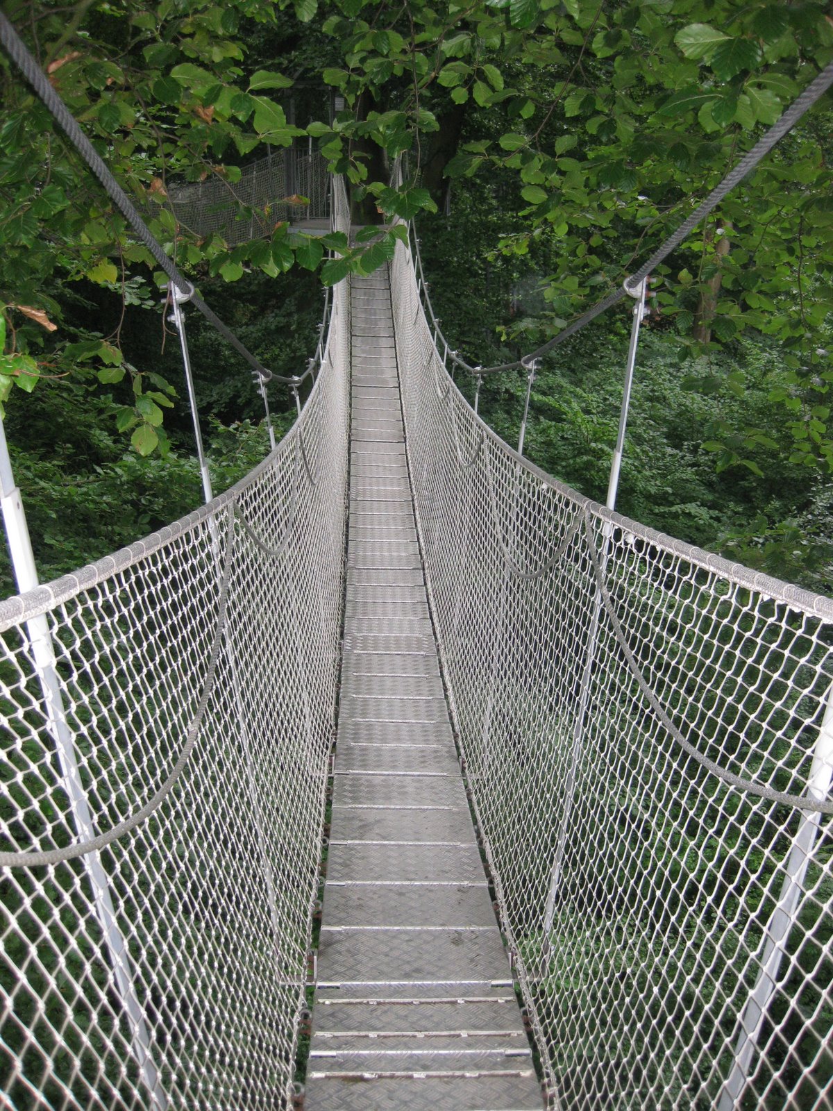 [august+holday+08+234.jpg]