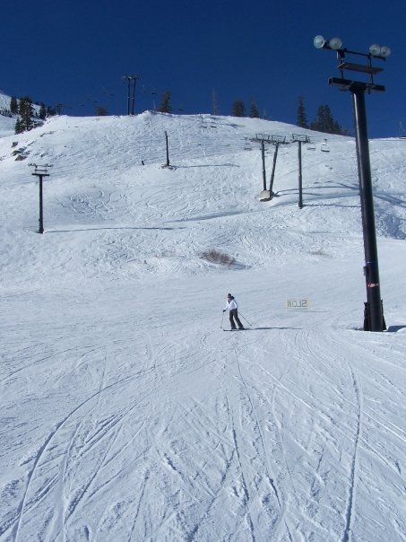 [n517390289_5476858_7766.jpg]