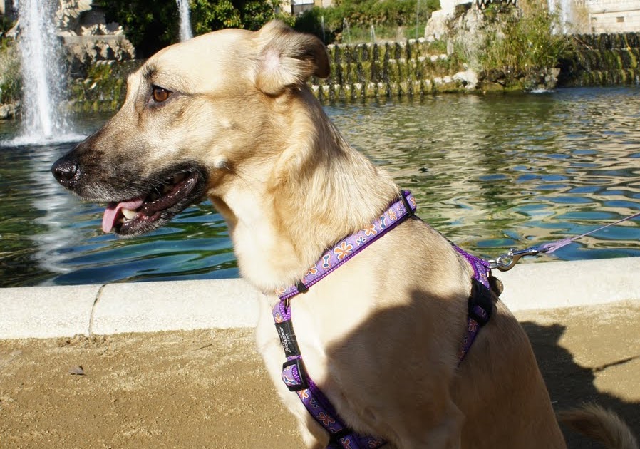 Las Crónicas de Yeria: Parque de la Ciudadela