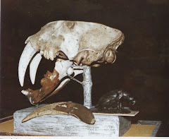 Smilodon (Tigre Dientes de Sable)