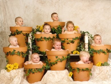 [babies-in-flower-pots.jpg]