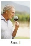 Photo of a man smelling a glass of wine.