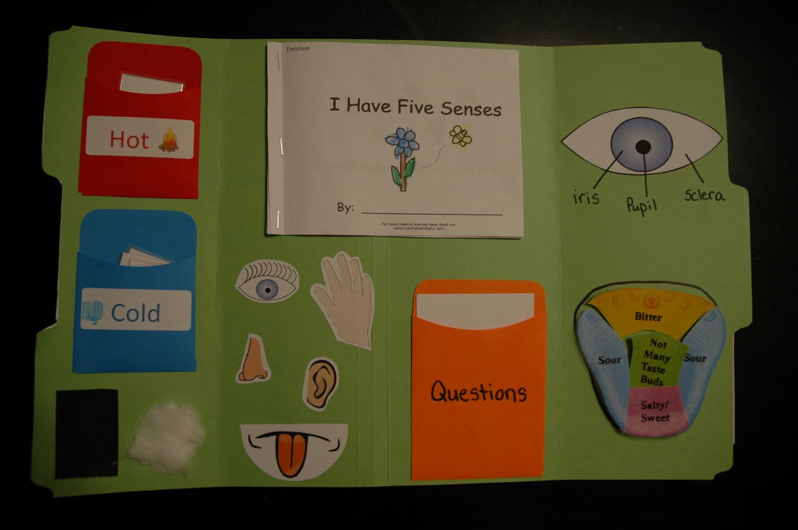 this and that 5 senses