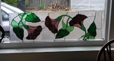 Morning Glories