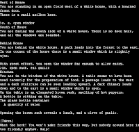 Zork Screen
