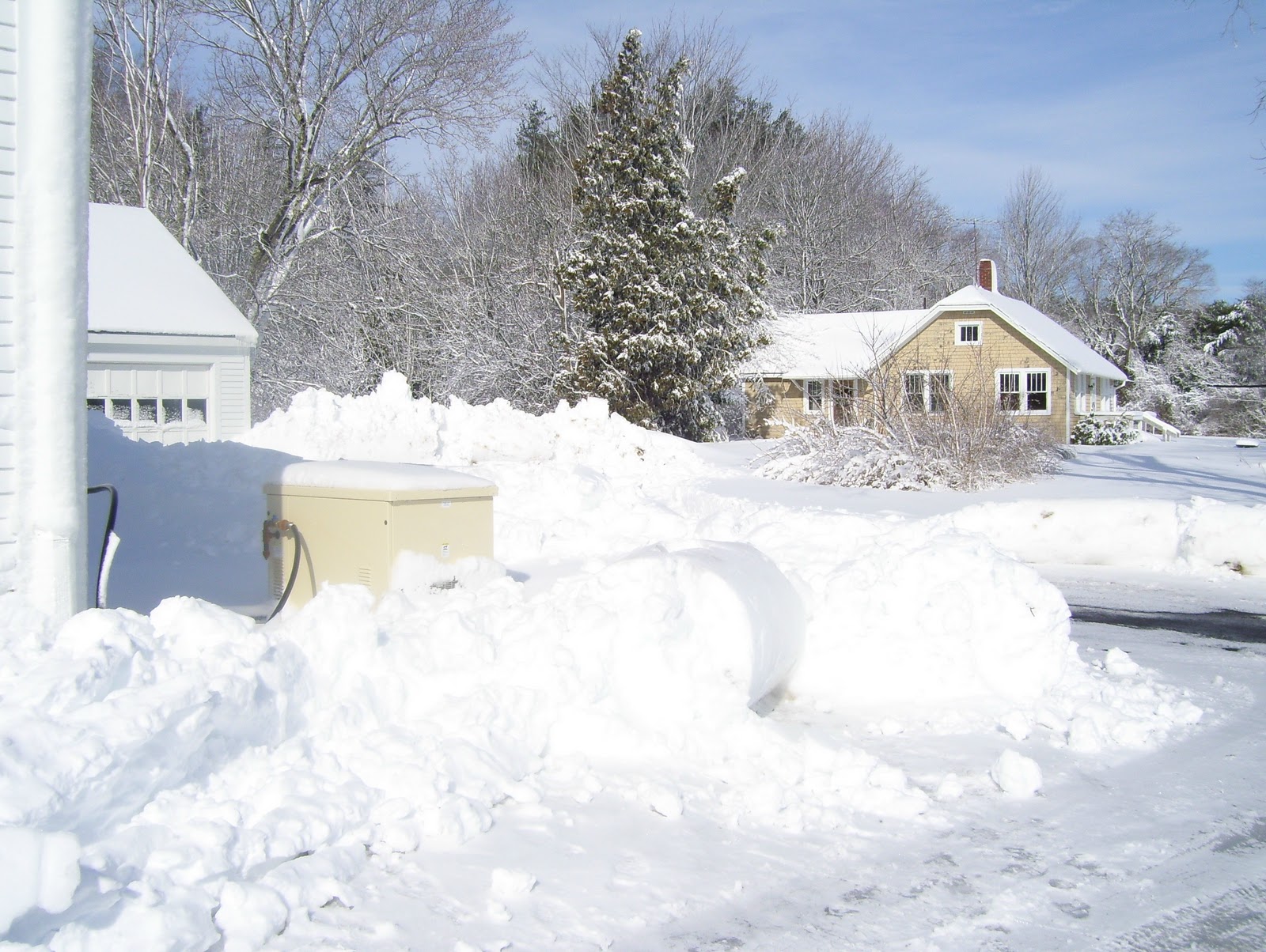 Beyond the South End Snow Pictures from the Farm in Bremen