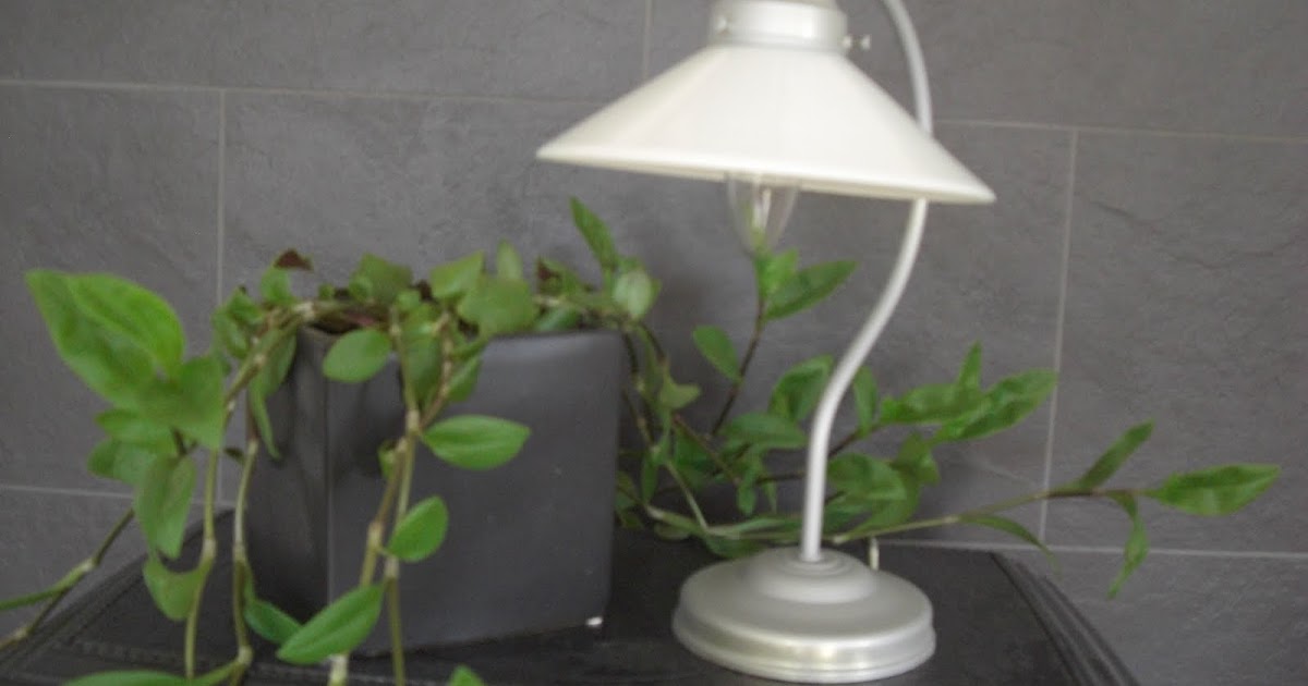 Ainas side Skomakerlampe