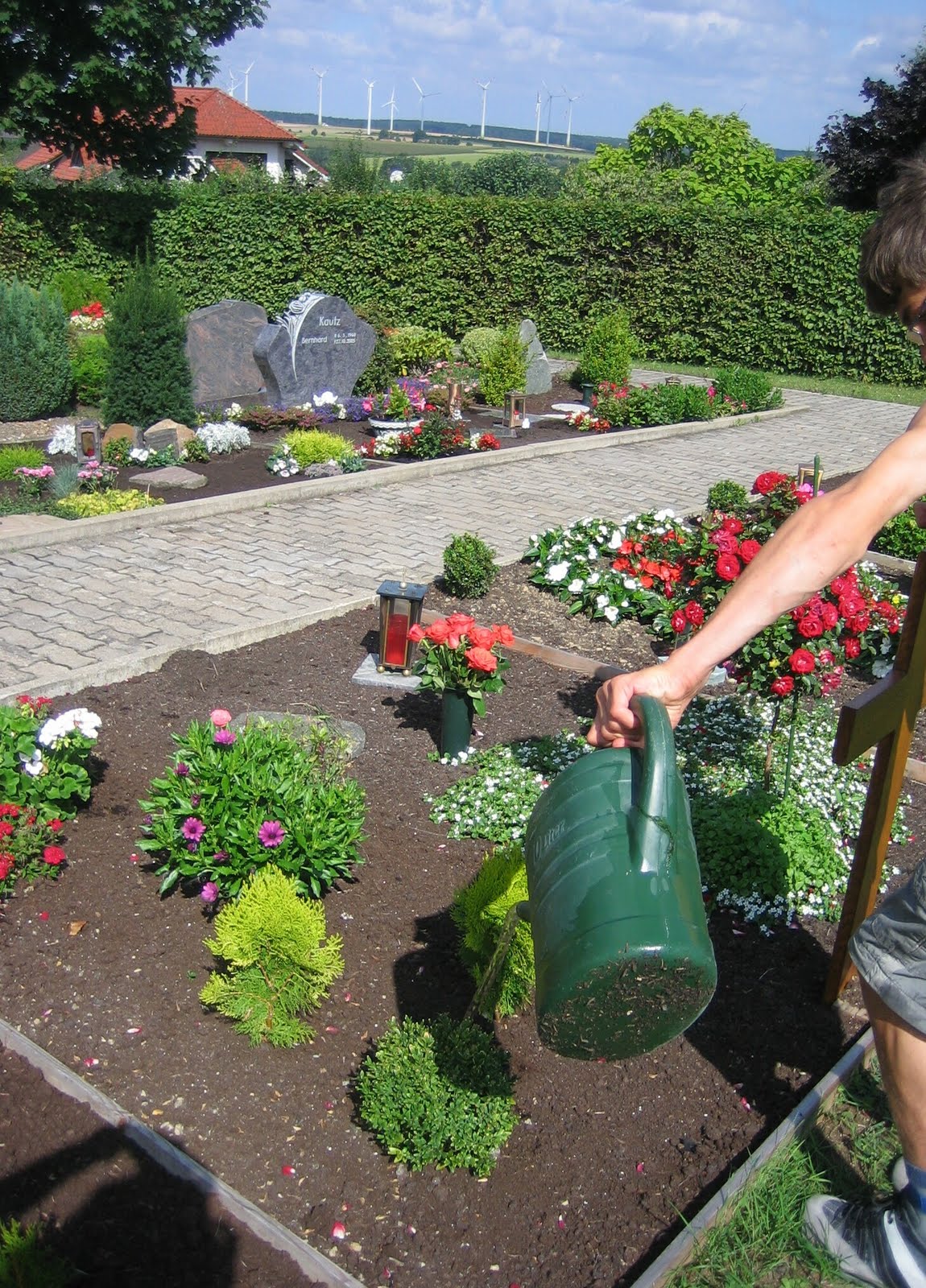 [watering+3.jpg]