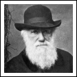 [Darwin+in+hat.png]
