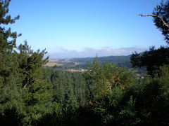 View of Freshwater, Ca