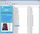 Cara Mengembalikan File Yang Hilang/Terhapus Dari Flash disk/Komputer Cara Mengembalikan File Yang Hilang/Terhapus Dari Flash disk/Komputer