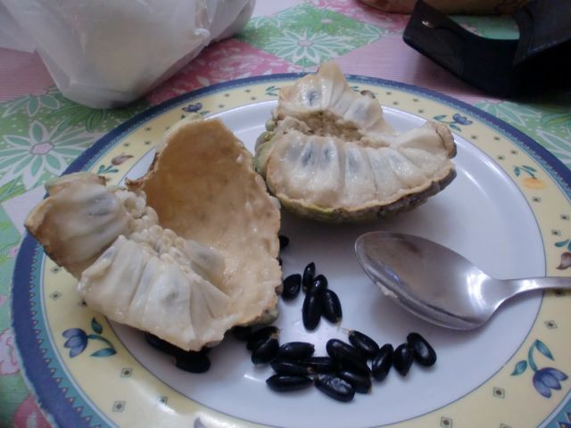 my mom has atis trees growing
