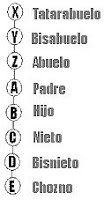 LINEA RECTA ASCENDENTE linea recta ascendente: