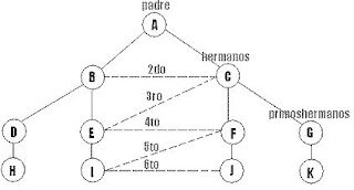 LINEA RECTA ASCENDENTE linea recta ascendente: