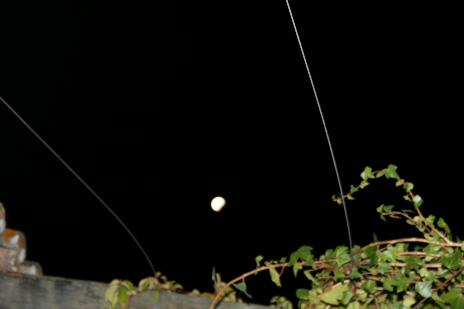 [20080816_IMG_0133.JPG]