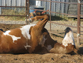 A good back-scratching...