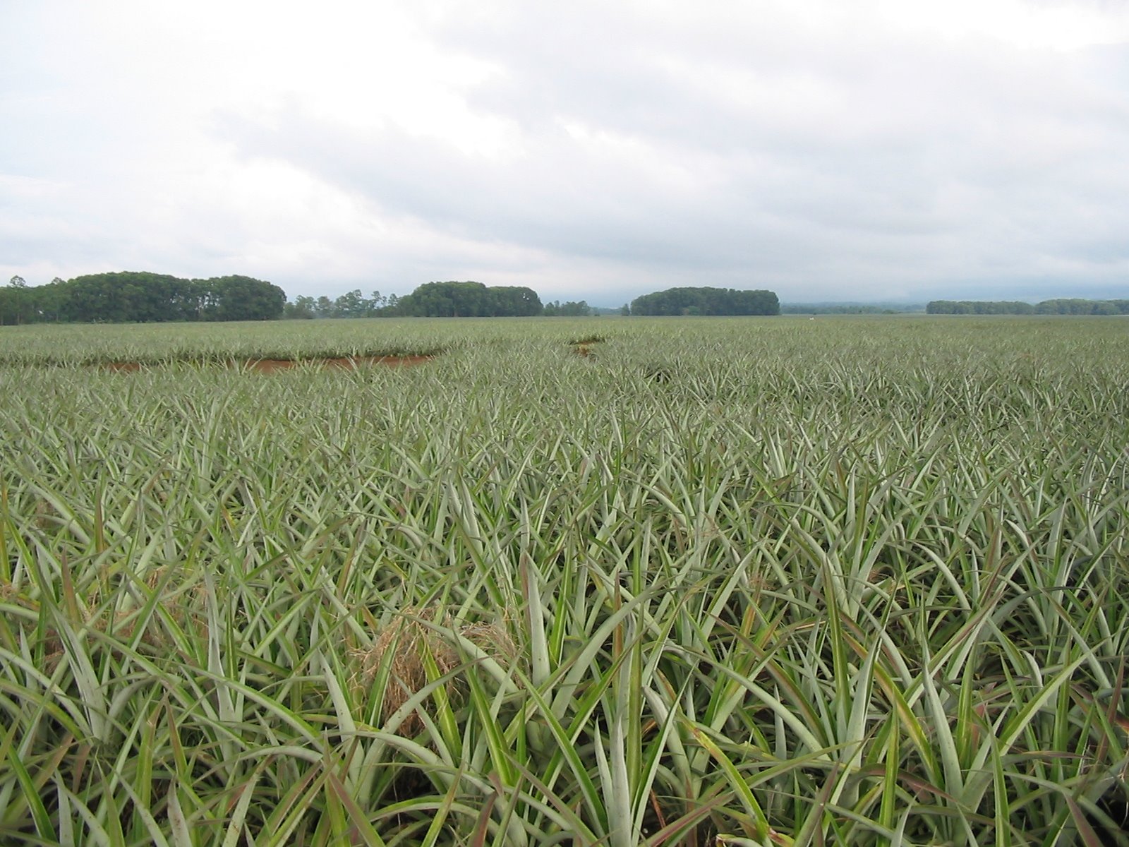 [Camp+Philips+044.jpg]