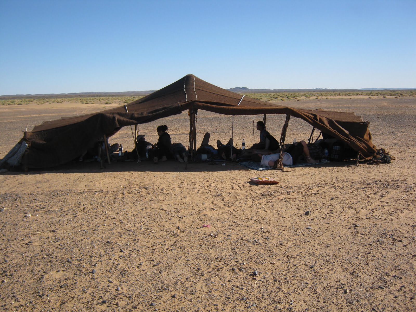 tent desert