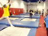 [trampoline.gif]