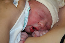 Introducing Andy!