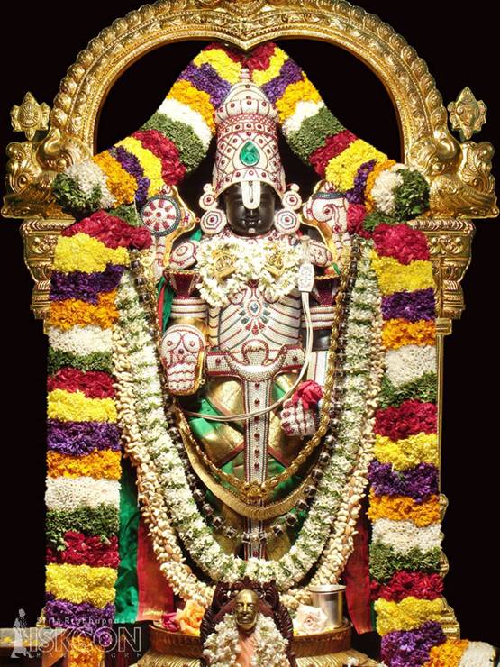 all about tirumala It is a holy place and authoritie s are making their all sincere efforts to ensure that darshanart hees are comfortabl e however, there is need of plying more ttd free buses for going one place to other at tirumala, because taxi drivers are charging exorbitant money even for a shorter distance. all about tirumala It is a holy place and authoritie s are making their all sincere efforts to ensure that darshanart hees are comfortabl e however, there is need of plying more ttd free buses for going one place to other at tirumala, because taxi drivers are charging exorbitant money even for a shorter distance.