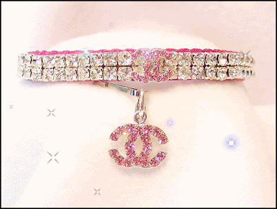 Fashion Collars on Chanel Dog Collars