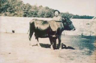 Another Kinney prized bull Another Kinney prized bull