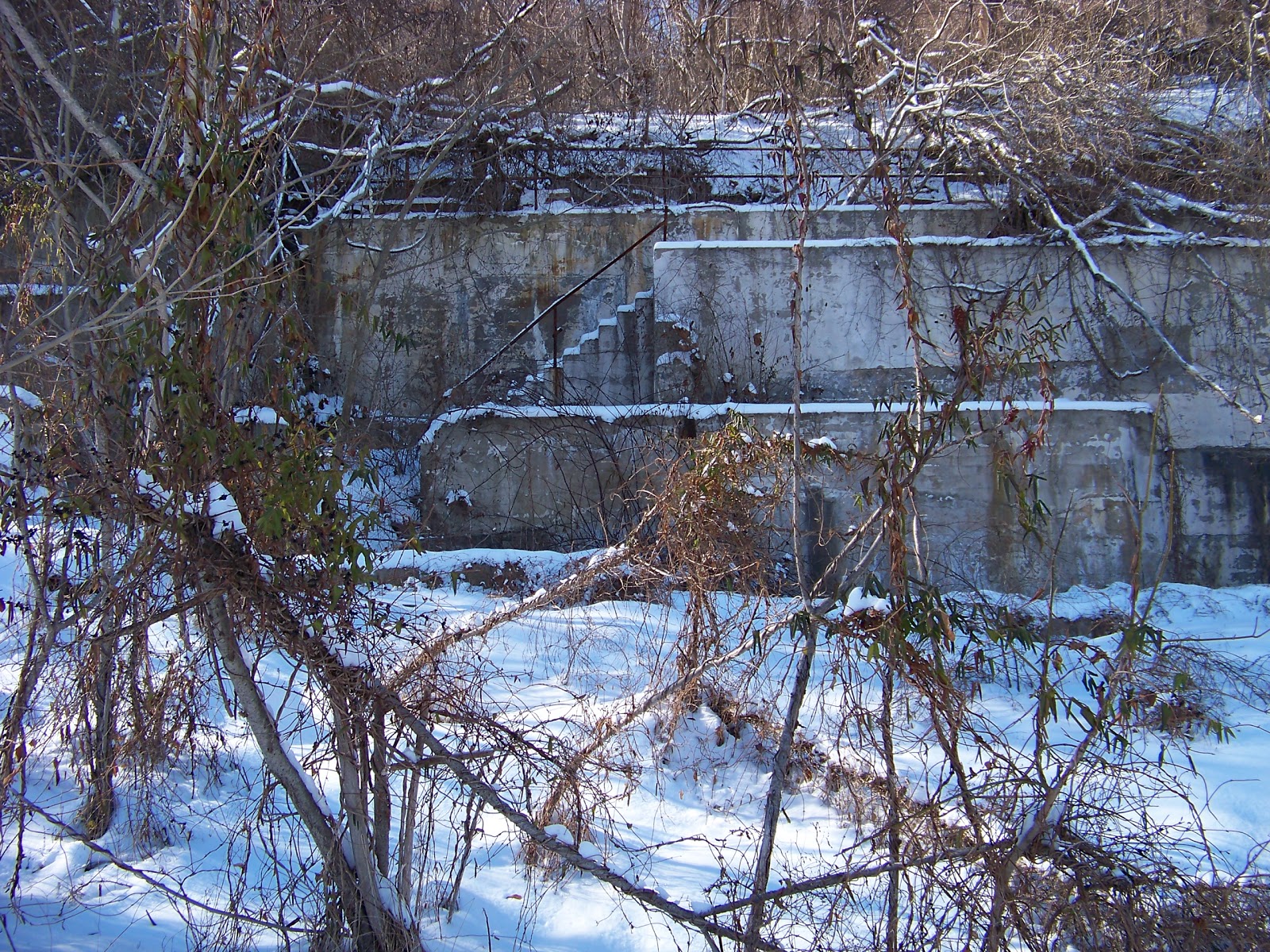SWPA Rural Exploration A winter walk down the Rices Landing, PA rails
