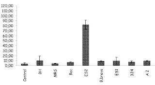 Inventos: Bifidobacteria