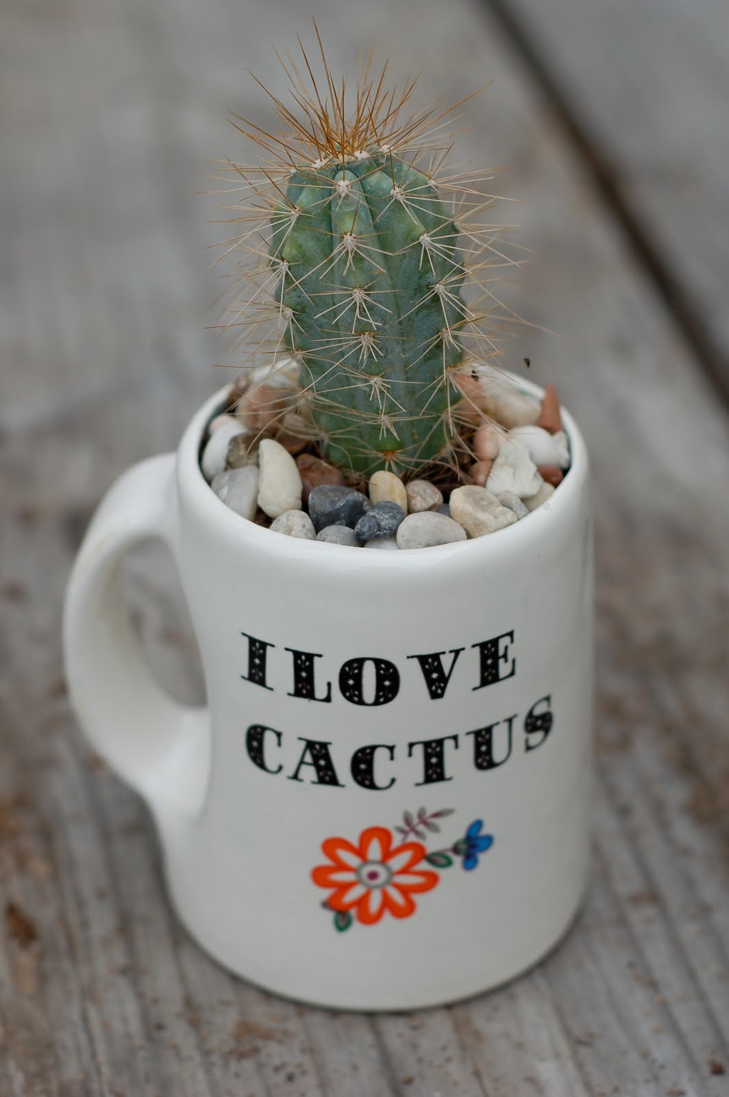 McCheek's Mayhem Cup Cake Stand and Cactus Cups