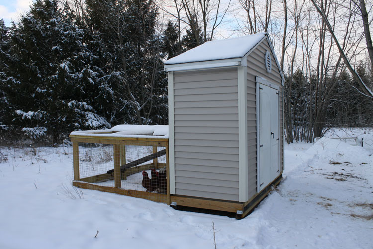 Antiquity Oaks Chicago chickens