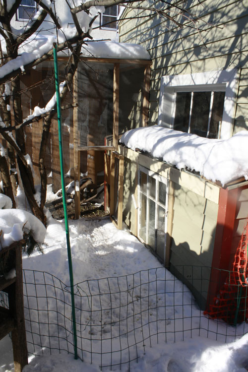 Antiquity Oaks Chicago chickens