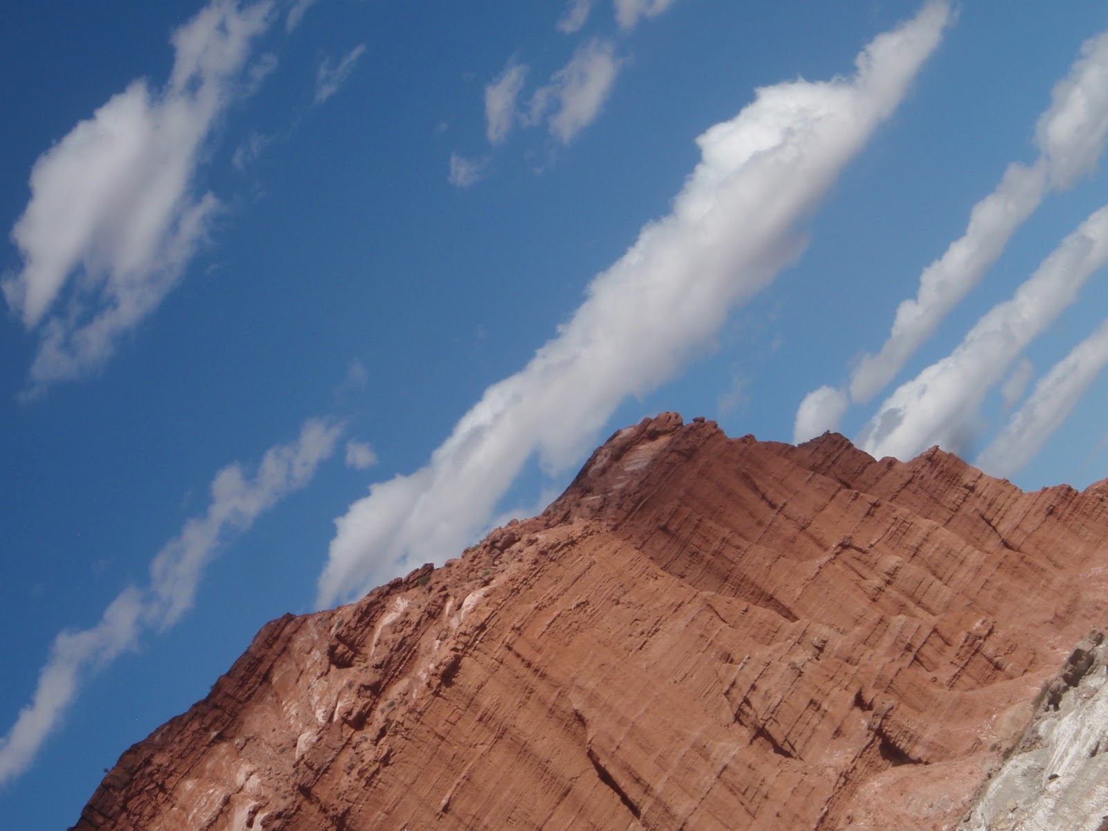 ReWhatever "Palm to Palm is Holy Palmer's Kiss" Shakespeare