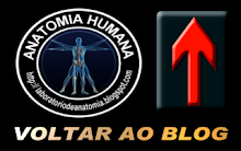 VOLTAR AO BLOG