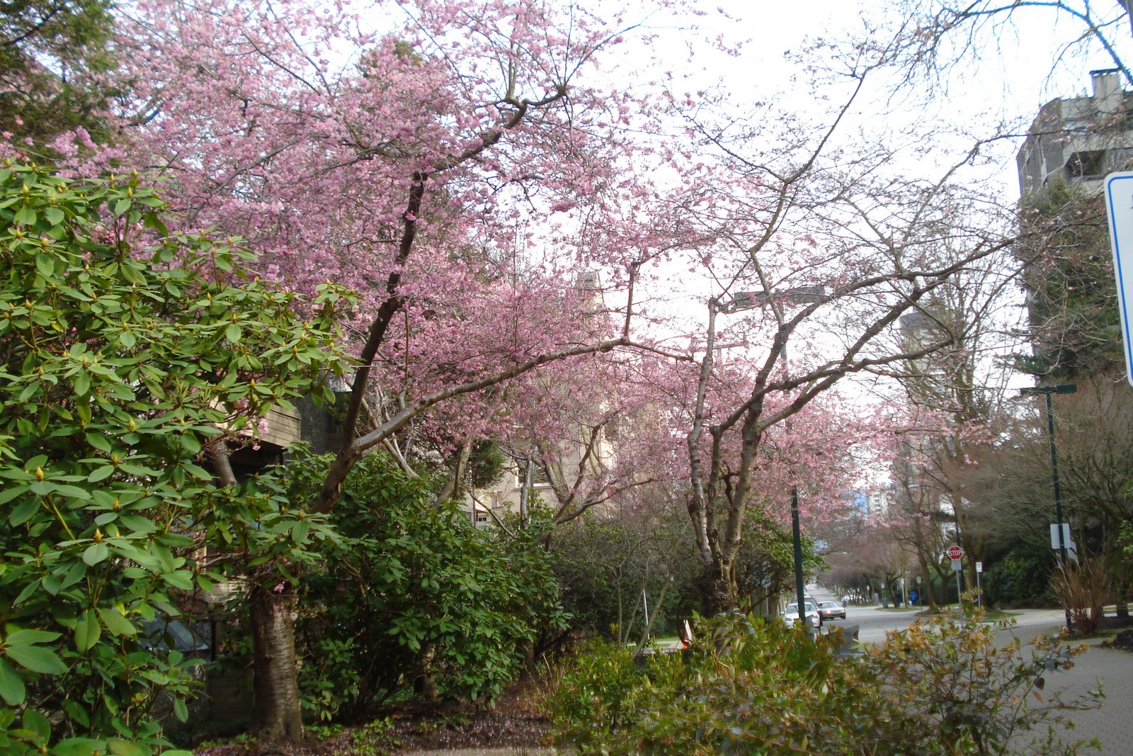 [DSC04290.JPG]