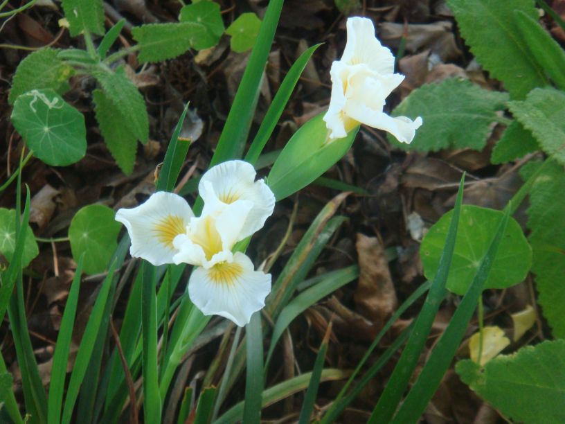 [DSC01643.jpg]