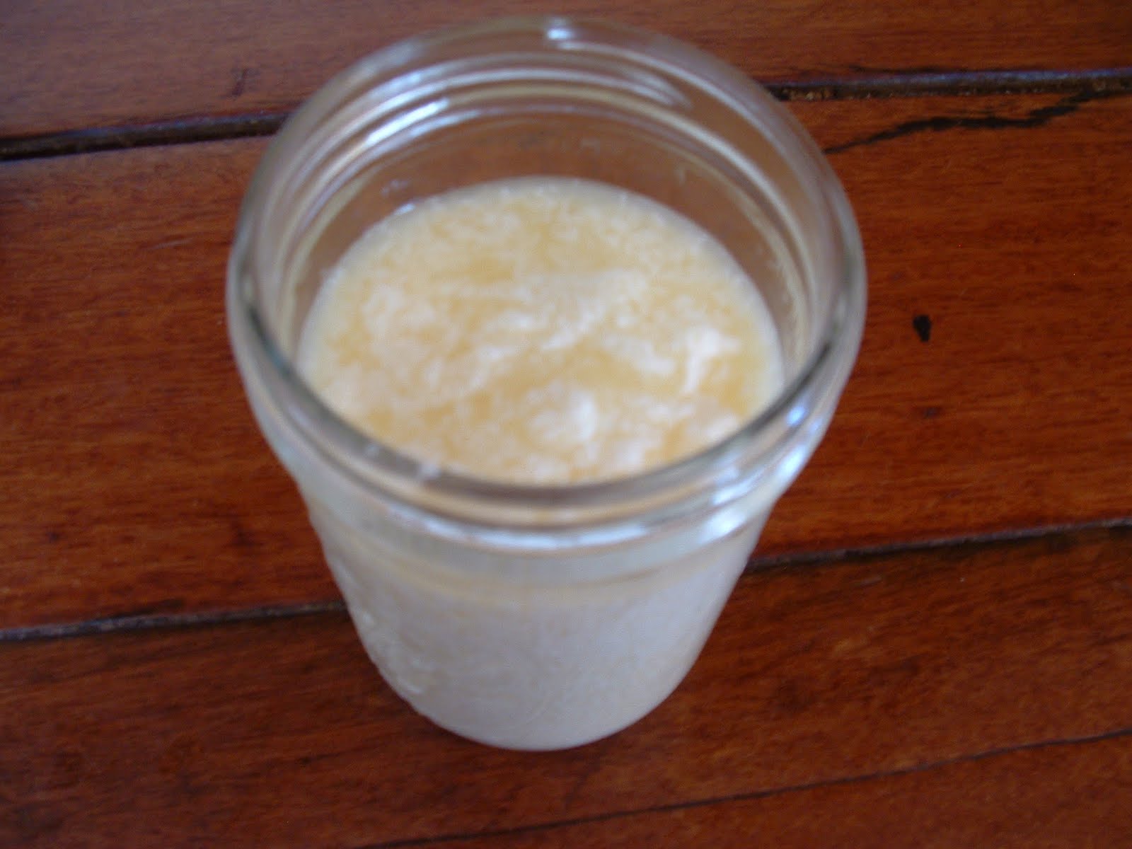 Rural Revolution Canning mayonnaise