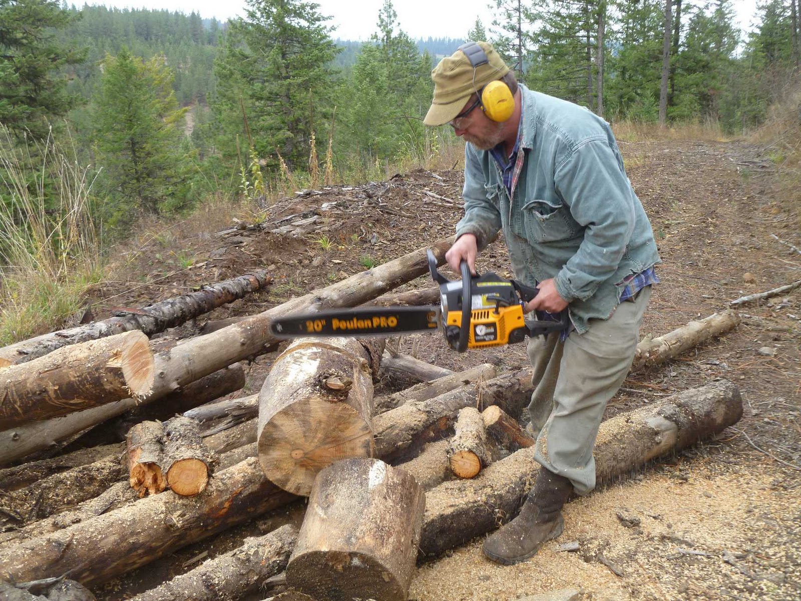 Rural Revolution Cutting firewood