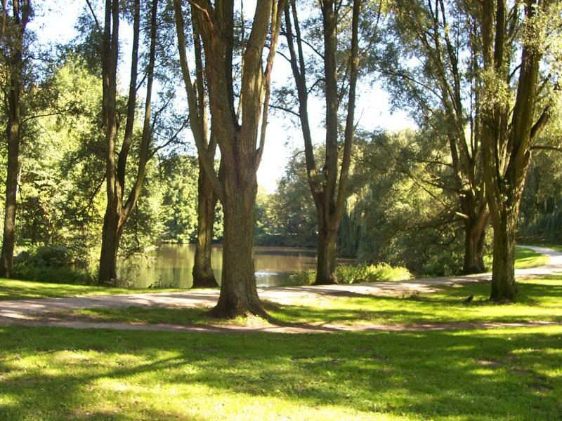 Mather Life Sweet Summer in Amsterdam