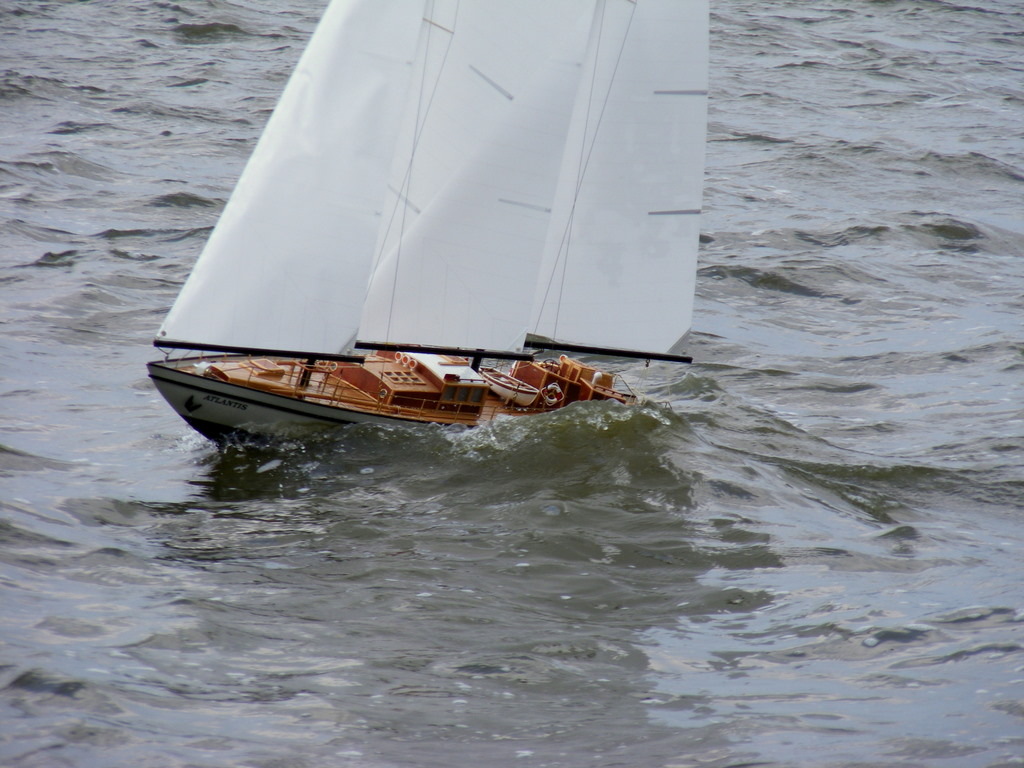 [DSCF0163.JPG]