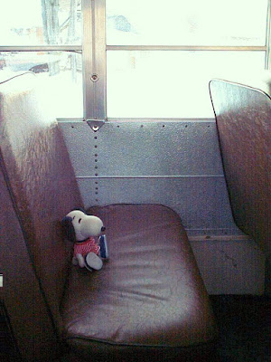 School Bus Seats