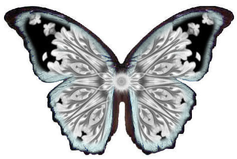 [Butterfly+1+from+Harmony+Quest.jpg]