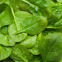 Baby Boomers Go Green ~ WordPress Blog ~ spinach